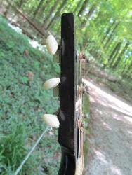 [1952 Gibson SJ Headstock Side showing taper]