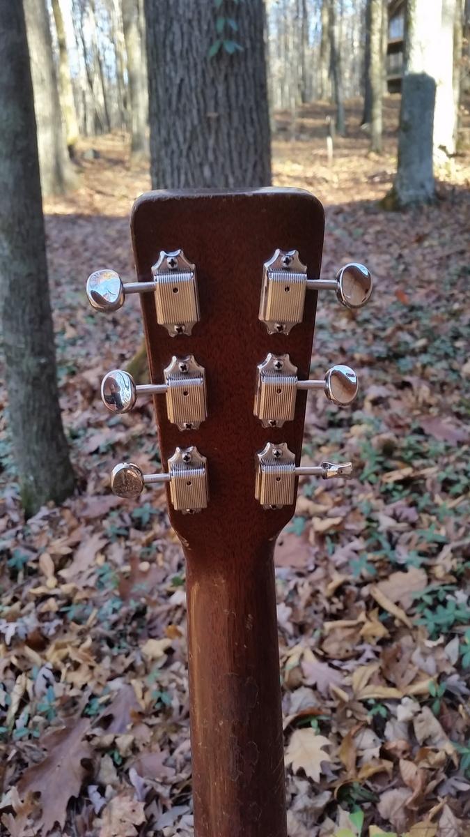 [1957 Martin D-21 Headstock Rear]