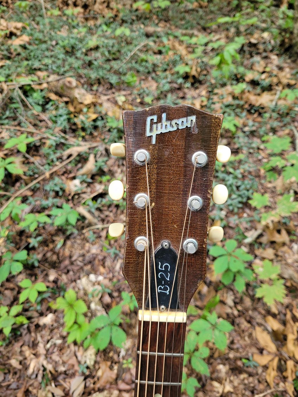 [1968 Gibson B-25 Headstock]