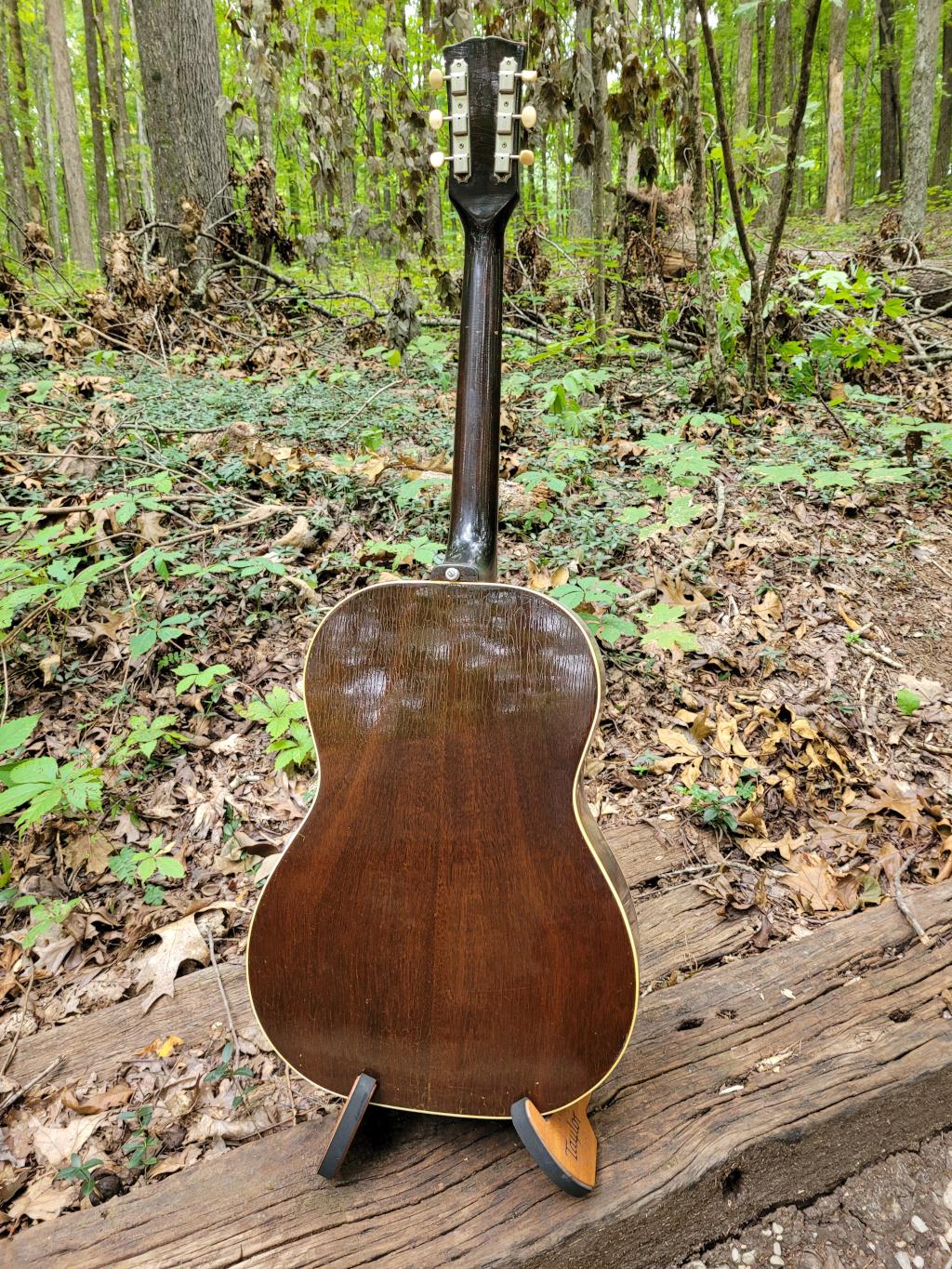 [1968 Gibson B-25 Full Back]