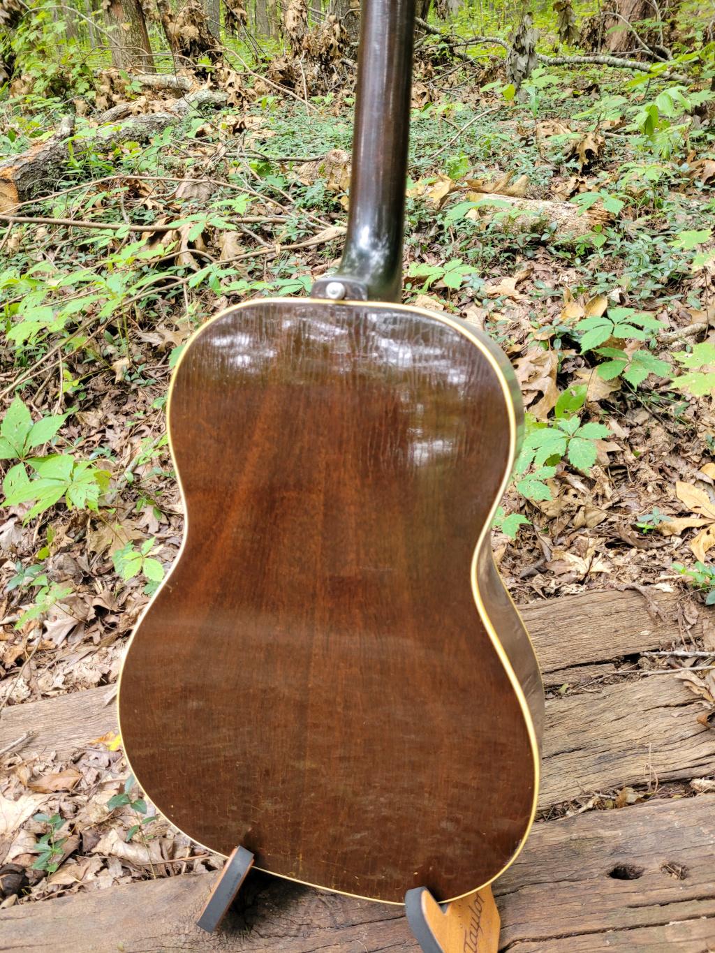 [1968 Gibson B-25 Rear]