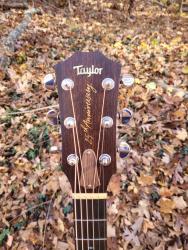 [1999 Taylor 510 AB Headstock Front]