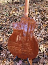 [2010 Taylor 514ce Back]
