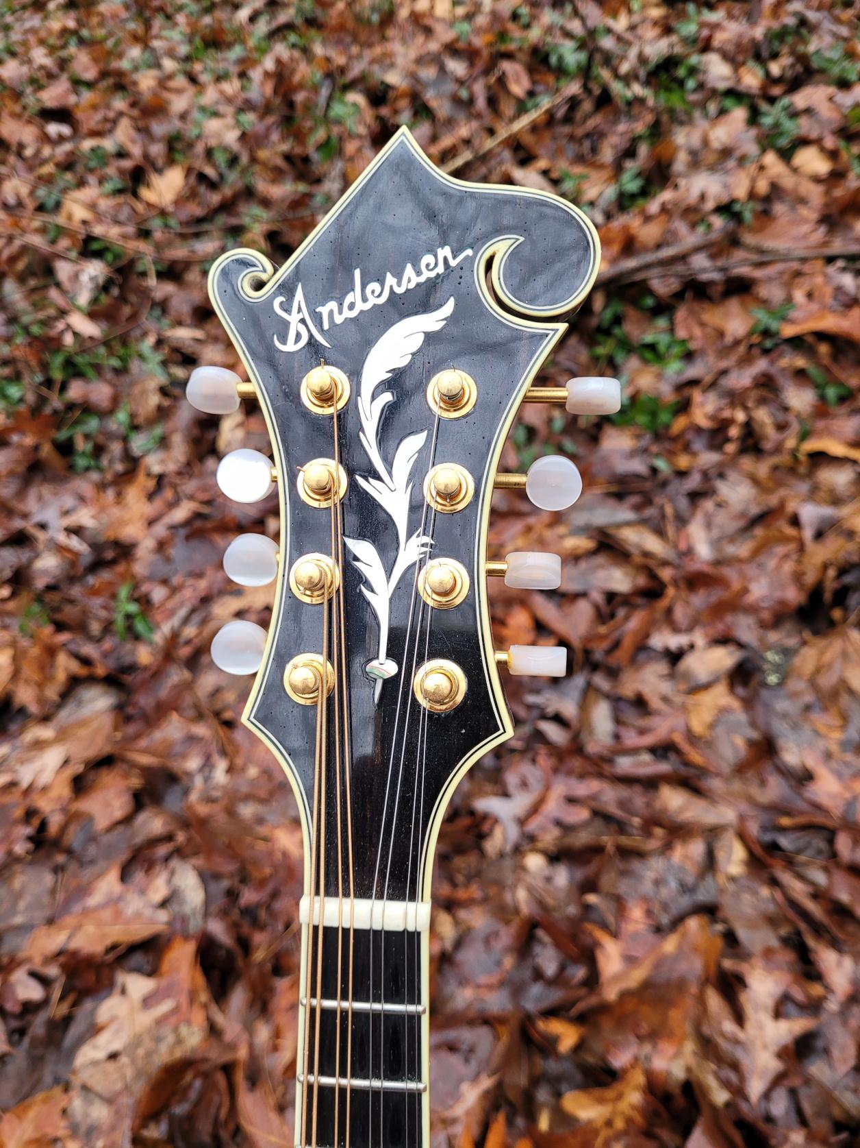 [1992 Andersen F-5 Mandolin Headstock detail]