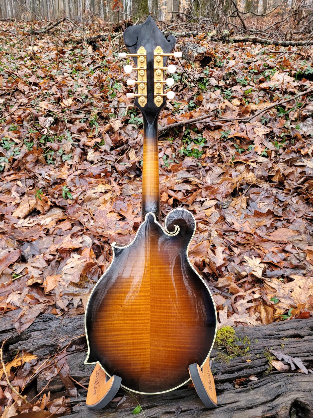 [1992 Andersen F-5 Mandolin Full Rear]