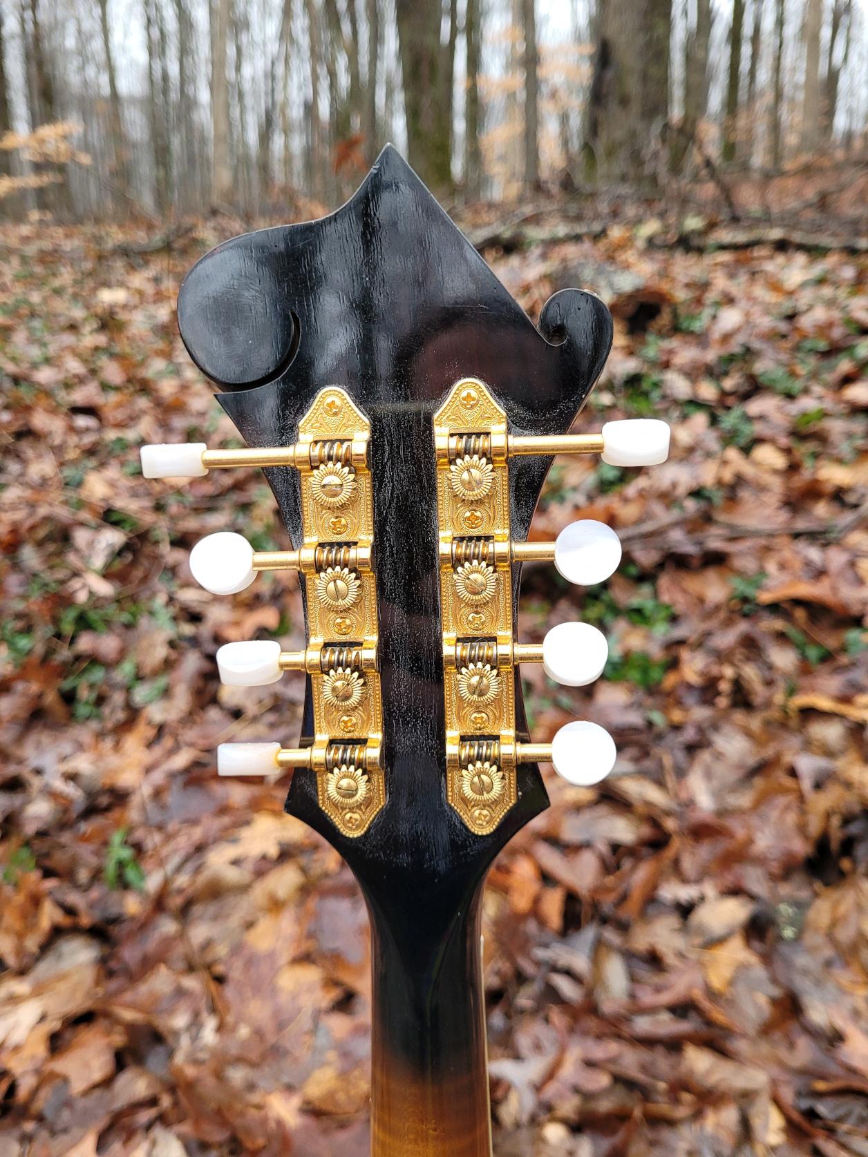 [1992 Andersen F-5 Mandolin Headstock Rear]