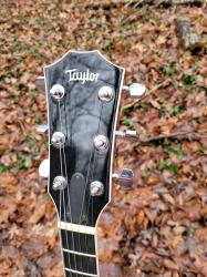 [2009 Taylor T3/B Headstock]