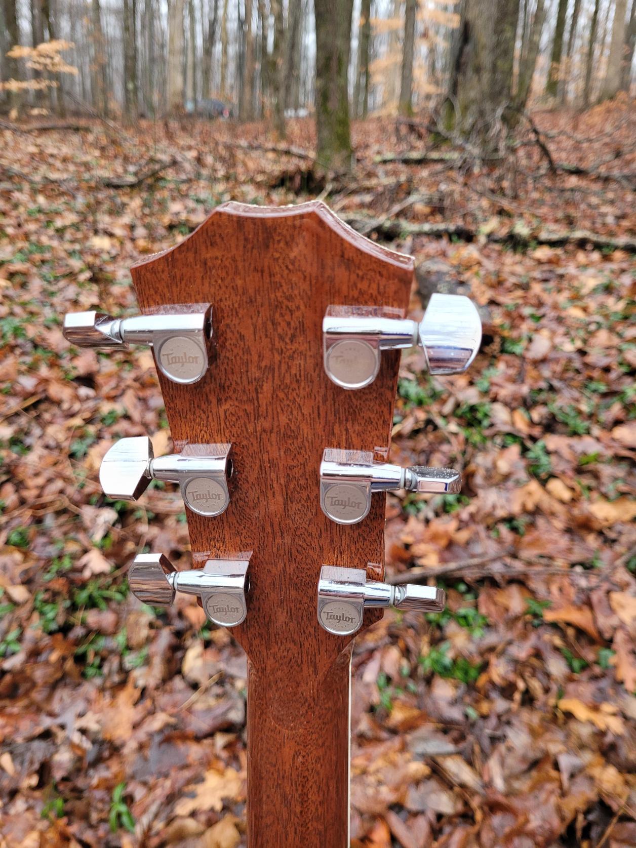 [2009 Taylor T3/B Headstock rear]