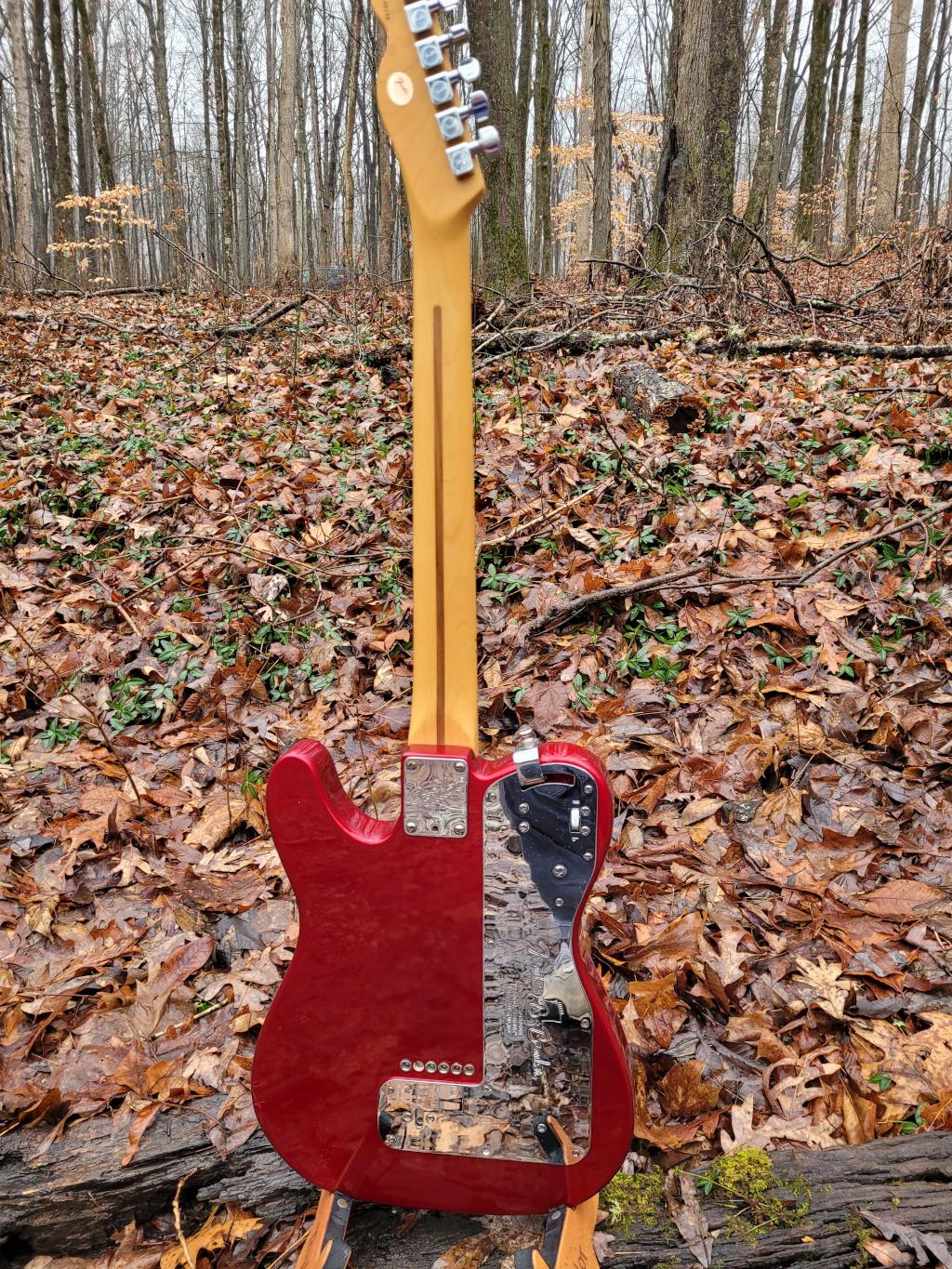 [1996 Fender Am. Standard Limited B-Bender Rear]