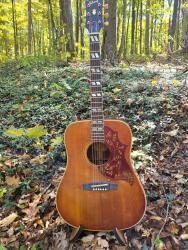 [1963 Gibson Hummingbird Full]