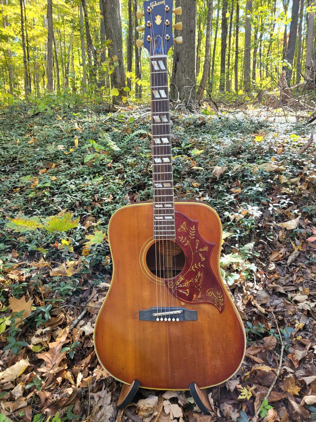 [1963 Gibson Hummingbird Full]