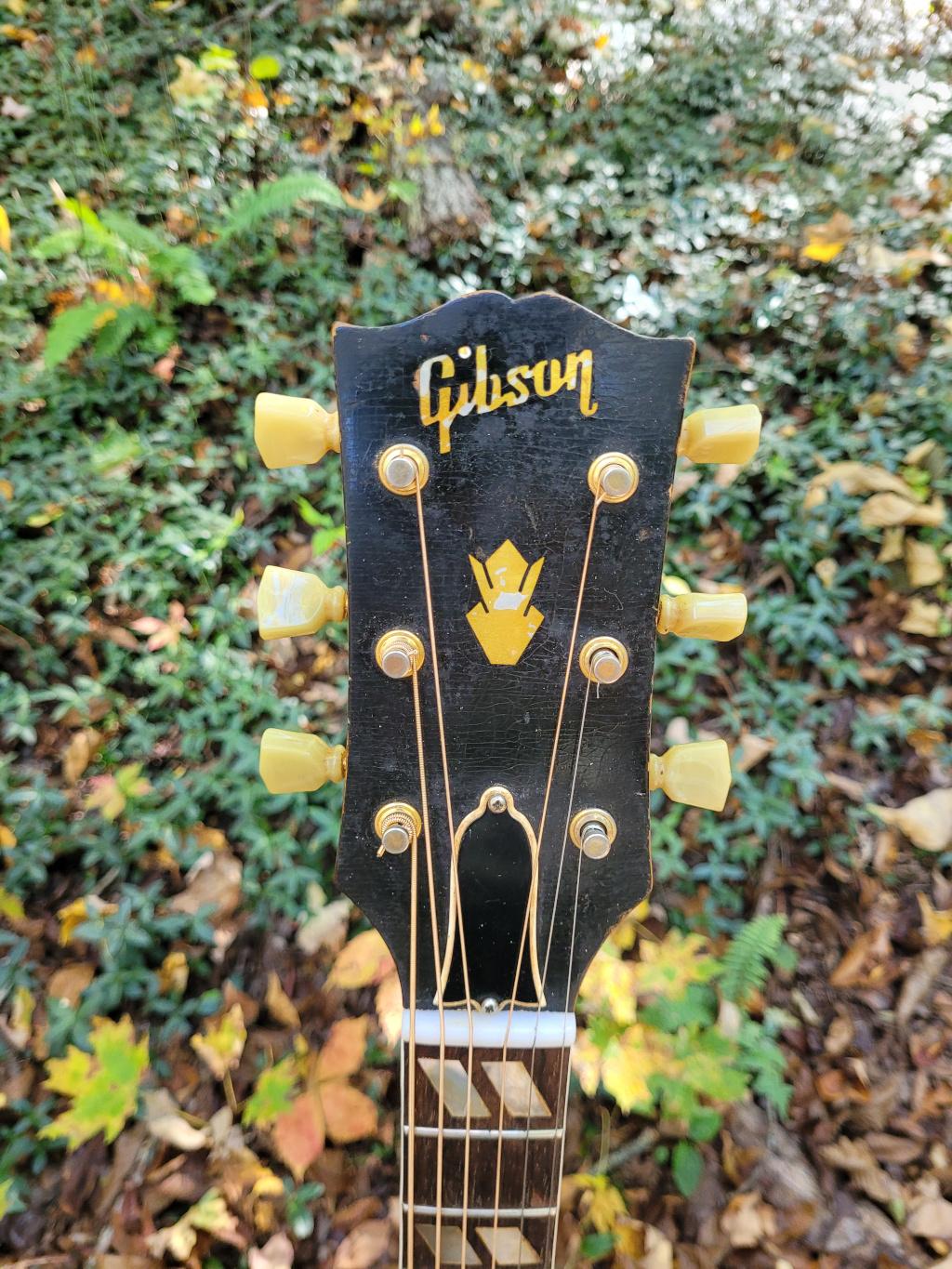 [1963 Gibson Hummingbird Headstock]