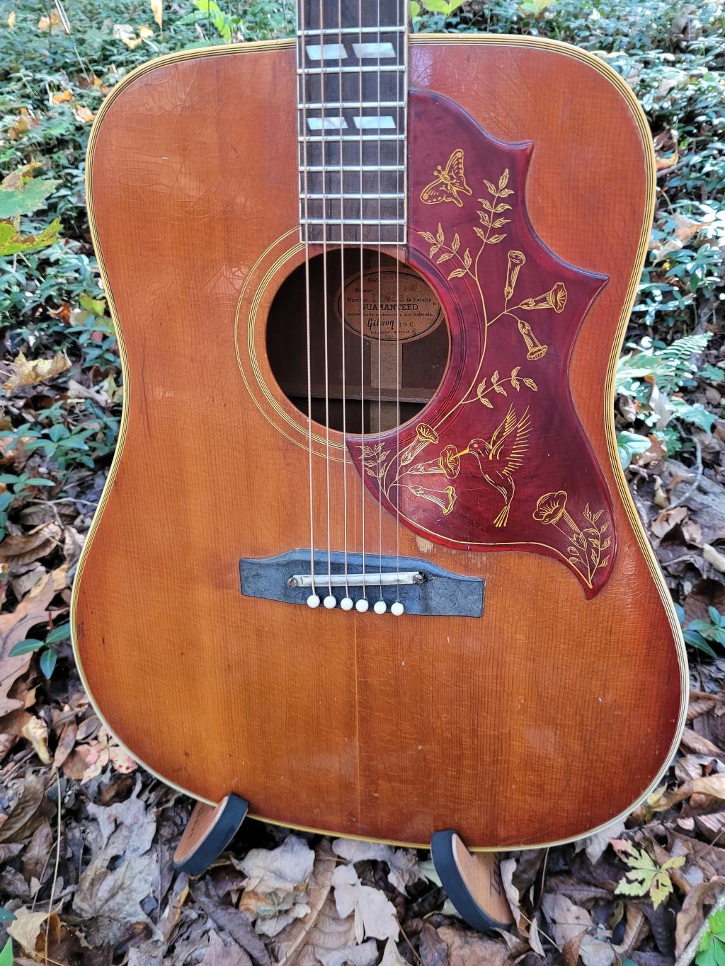 [1963 Gibson Hummingbird Top]