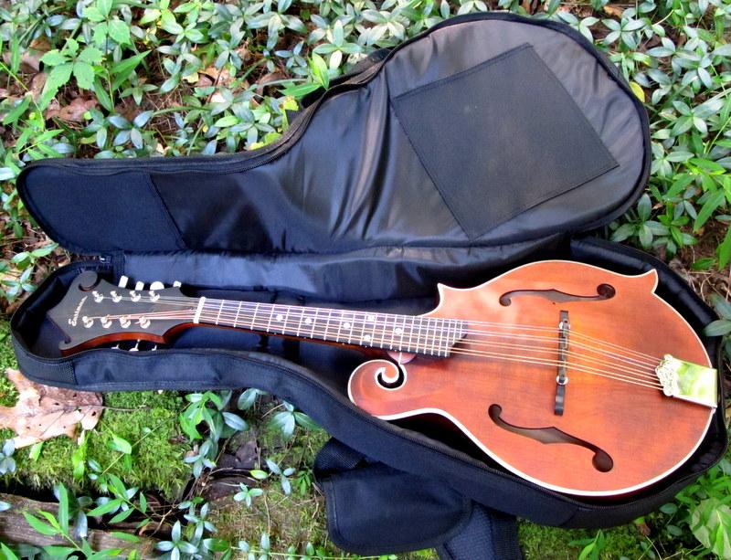 Mandola discount gig bag