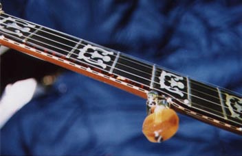 [Mahogany banjo fingerboard detail]